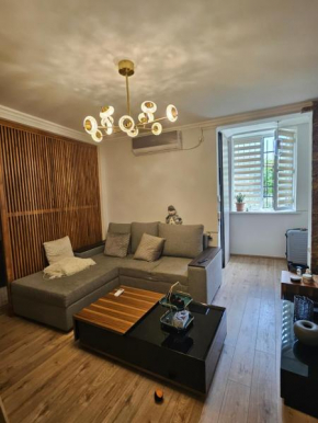 luxury apartment